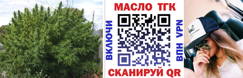 Купить где  Сураж  Дистиллят ТГК концентрат 